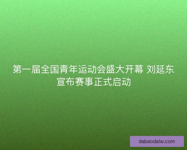第一届全国青年运动会盛大开幕 刘延东宣布赛事正式启动
